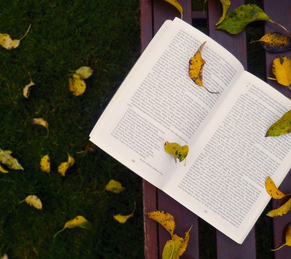 Обои трава, листья, осень, скамейка, листопад, книга, grass, leaves, autumn, bench, falling leaves, book разрешение 1920x1200 Загрузить