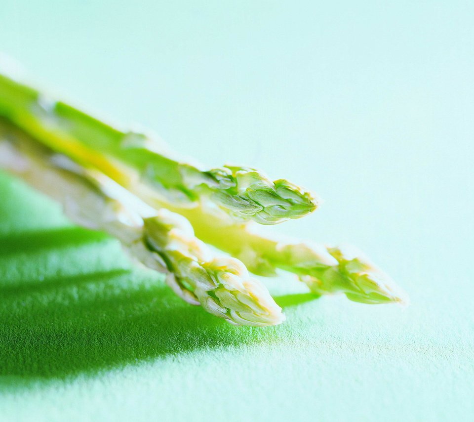 Обои зеленая, спаржа, соевая, green, asparagus, soy разрешение 2560x2022 Загрузить