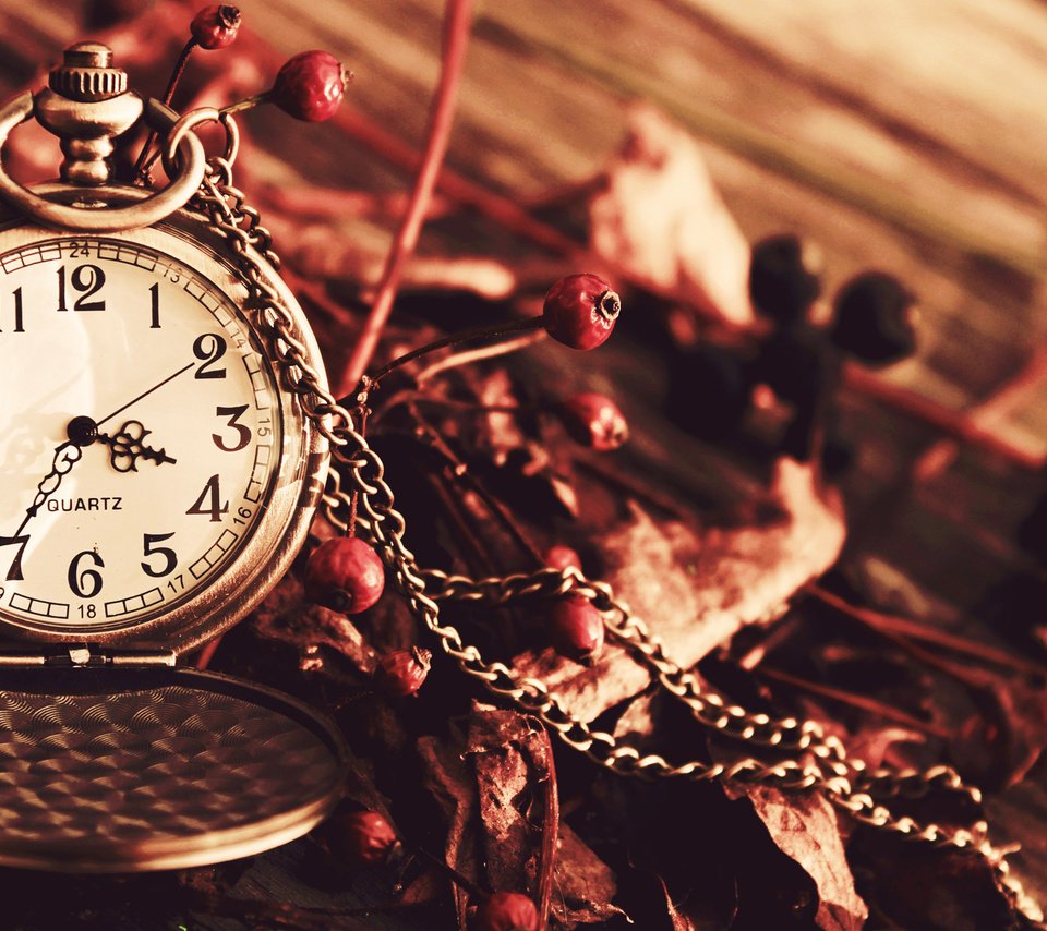 Обои осень, часы, ягоды, сухие, цепочка, циферблат, карманные часы, autumn, watch, berries, dry, chain, dial, pocket watch разрешение 1920x1200 Загрузить