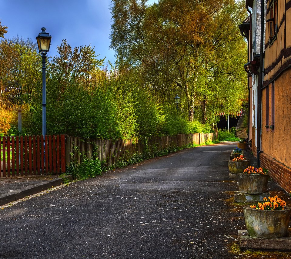 Обои деревья, осень, забор, улица, дом, фонарь, trees, autumn, the fence, street, house, lantern разрешение 1920x1200 Загрузить