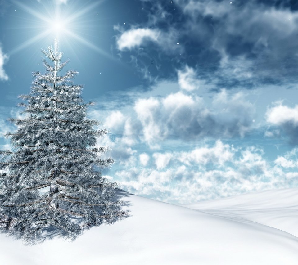 Обои небо, праздник, свет, облака, солнце, снег, новый год, зима, ель, the sky, holiday, light, clouds, the sun, snow, new year, winter, spruce разрешение 1920x1200 Загрузить