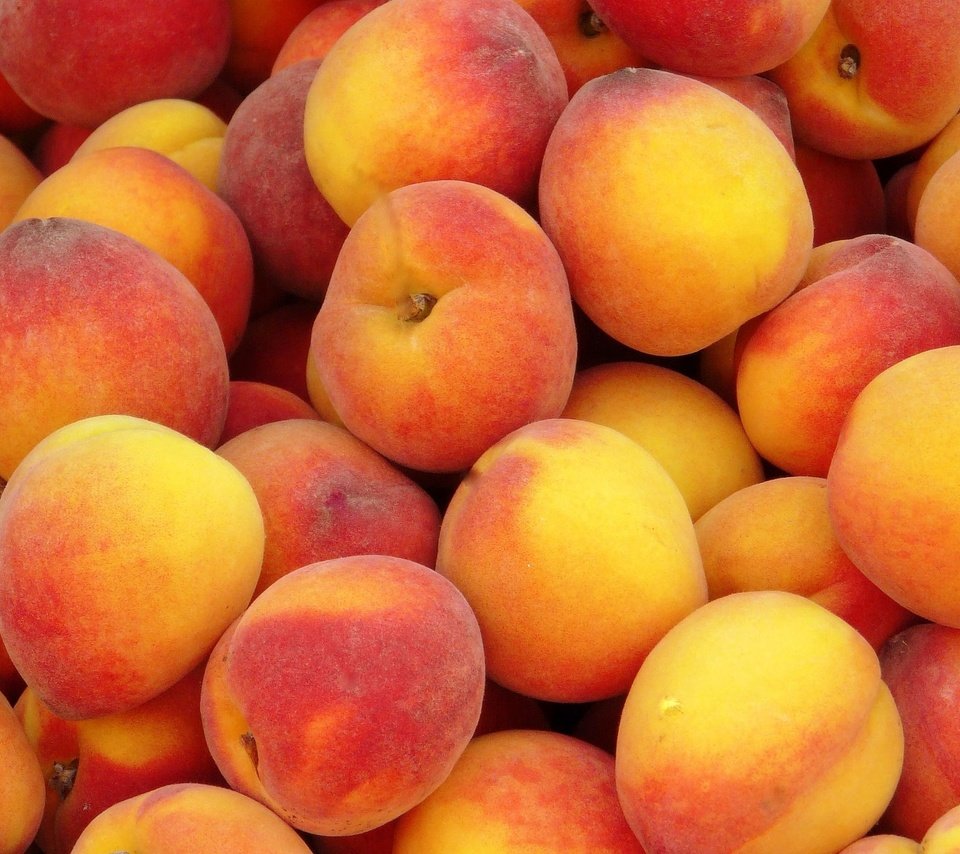 Обои фрукты, много, персики, спелые, сочные, сладкие, вкусные, fruit, a lot, peaches, ripe, juicy, sweet, delicious разрешение 2048x1536 Загрузить