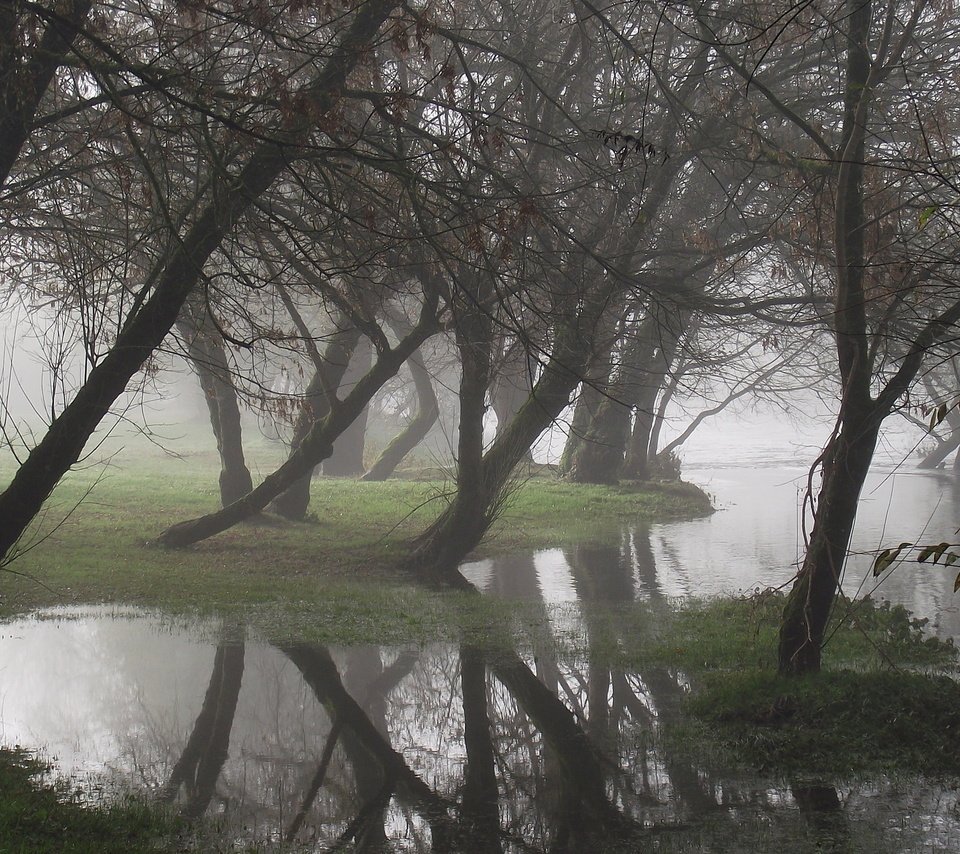 Обои деревья, вода, отражение, туман, trees, water, reflection, fog разрешение 1920x1200 Загрузить