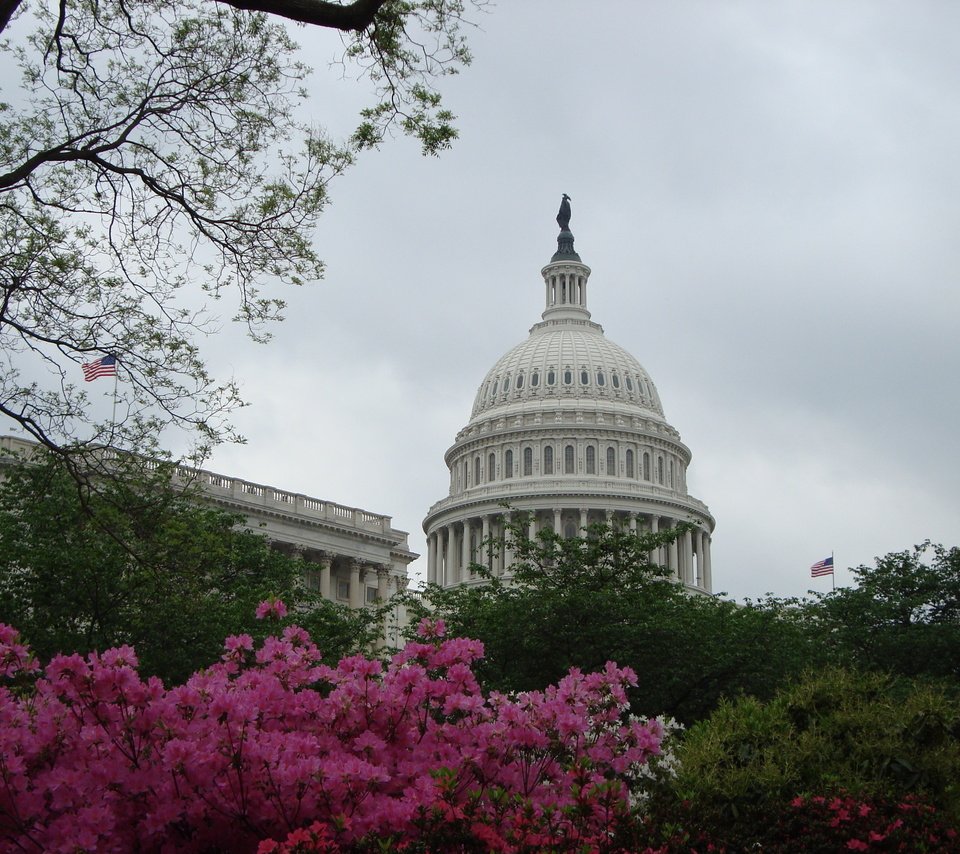 Обои вашингтон, белый дом, капитолий, washington, the white house, capitol разрешение 3072x2304 Загрузить