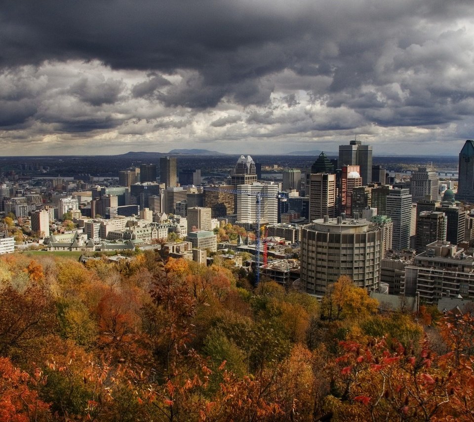 Обои небо, деревья, город, осень, здания, канада, монреаль, the sky, trees, the city, autumn, building, canada, montreal разрешение 1920x1440 Загрузить