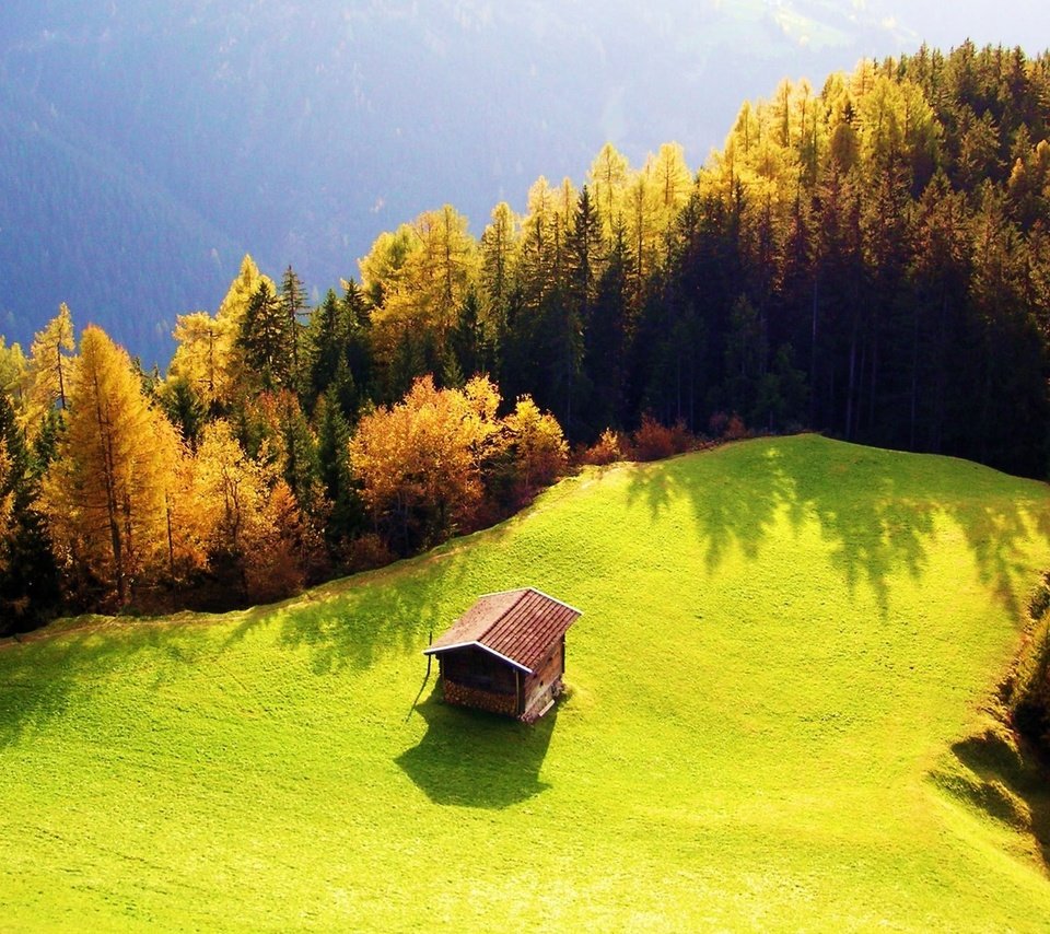 Обои трава, роща, деревья, горы, лес, осень, луг, дом, зеленая, grass, grove, trees, mountains, forest, autumn, meadow, house, green разрешение 1920x1200 Загрузить