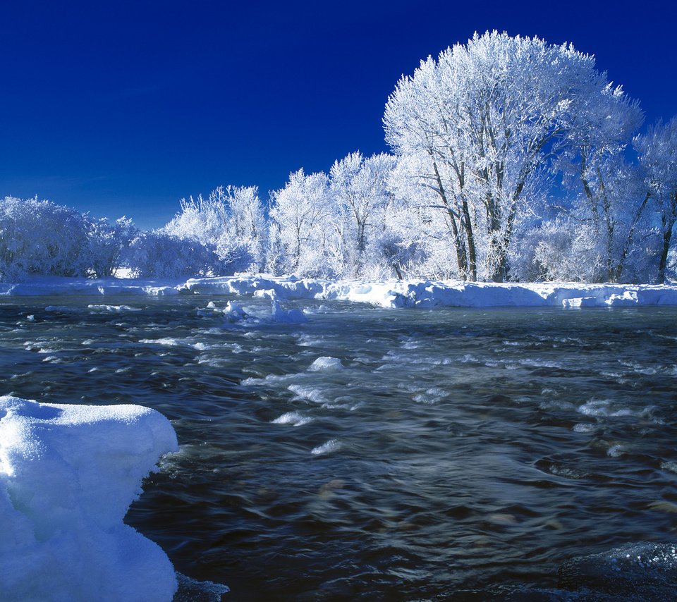 Обои деревья, река, снег, зима, trees, river, snow, winter разрешение 1920x1080 Загрузить