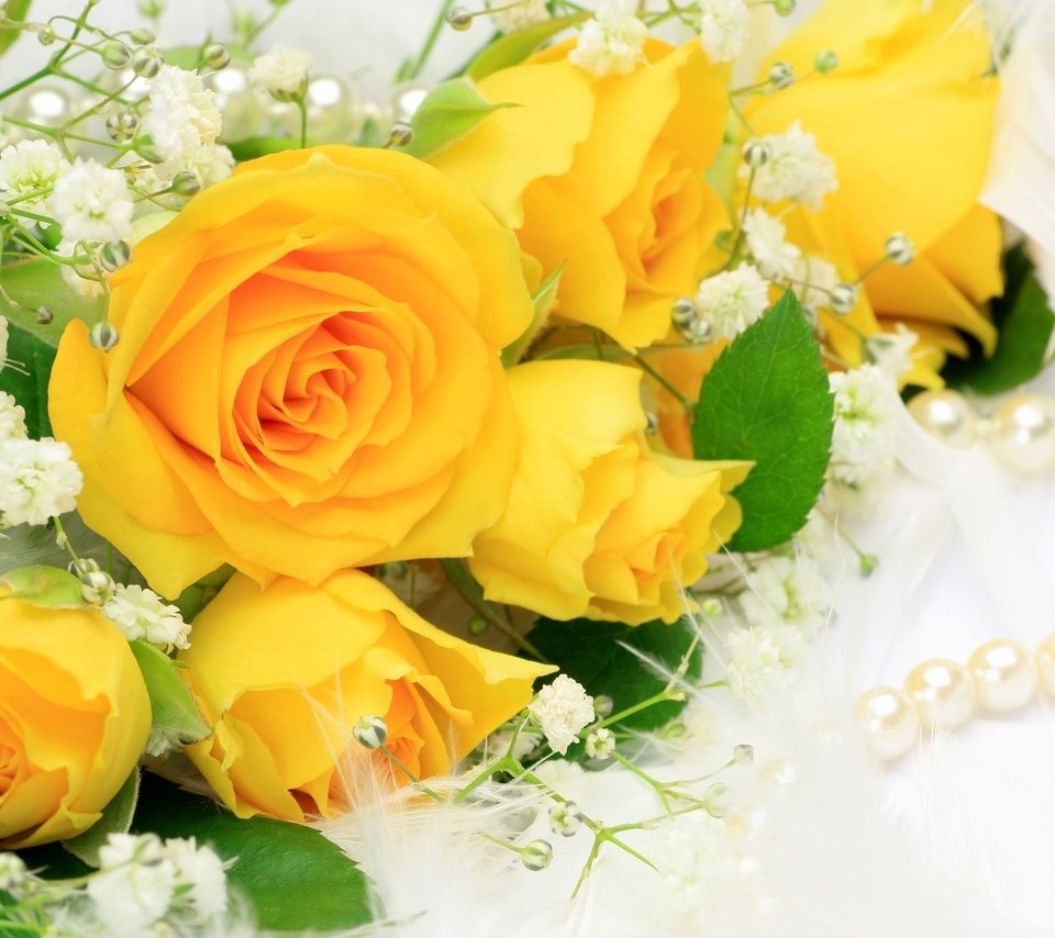 Обои cvety, zheltye, rozy разрешение 1920x1536 Загрузить
