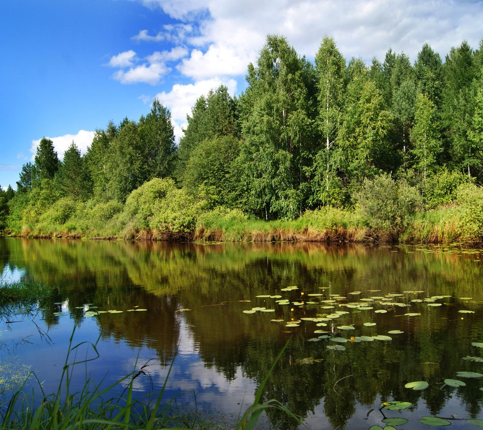 Обои небо, лето, облака, деревья, озеро, река, природа, лес, отражение, the sky, summer, clouds, trees, lake, river, nature, forest, reflection разрешение 3408x2272 Загрузить