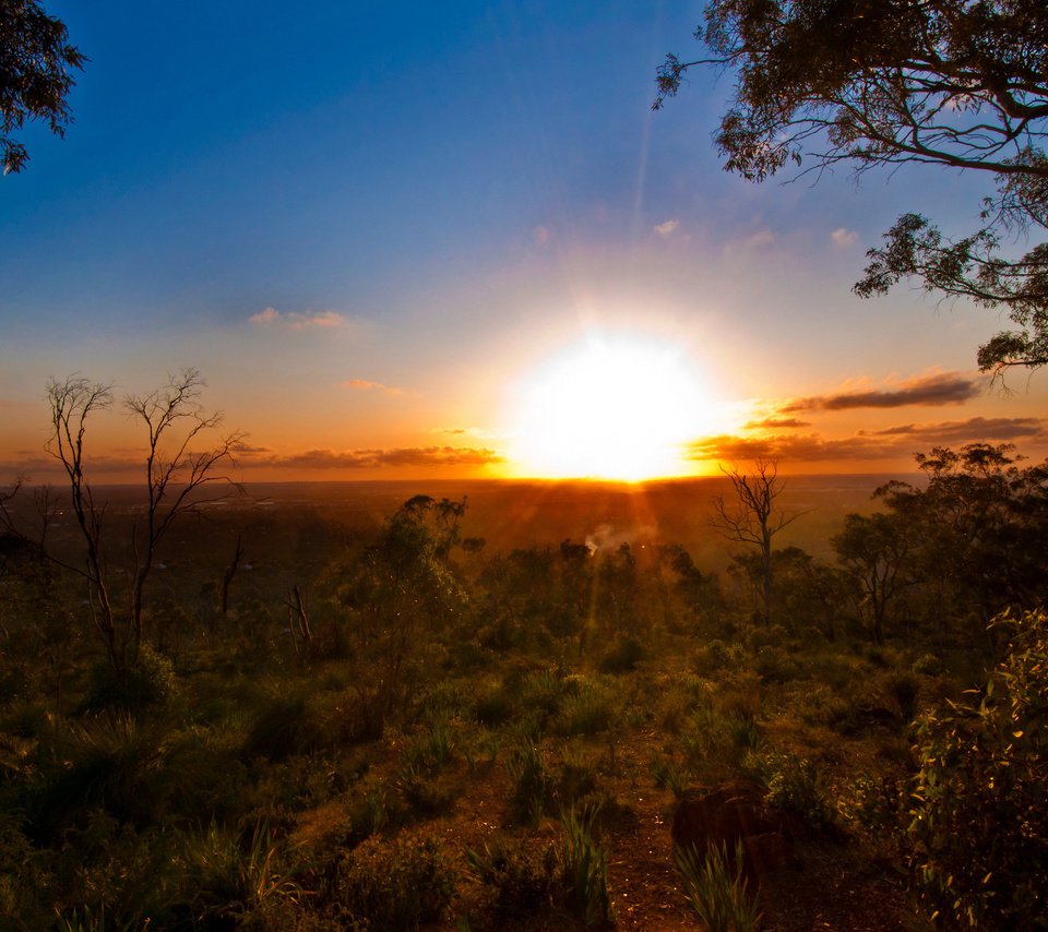 Обои деревья, солнце, закат, горизонт, лето, австралия, trees, the sun, sunset, horizon, summer, australia разрешение 2560x1600 Загрузить