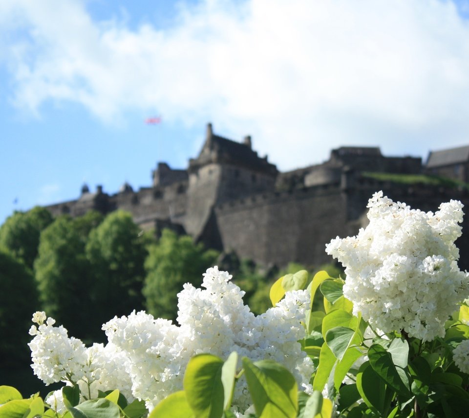 Обои цветы, замок, весна, белая, сирень, боке, сирена, cvety, zamok, flowers, castle, spring, white, lilac, bokeh, siren разрешение 3000x2000 Загрузить