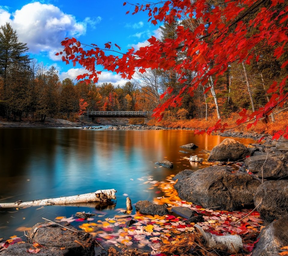 Обои небо, облака, деревья, река, камни, листья, мост, осень, the sky, clouds, trees, river, stones, leaves, bridge, autumn разрешение 2560x1600 Загрузить