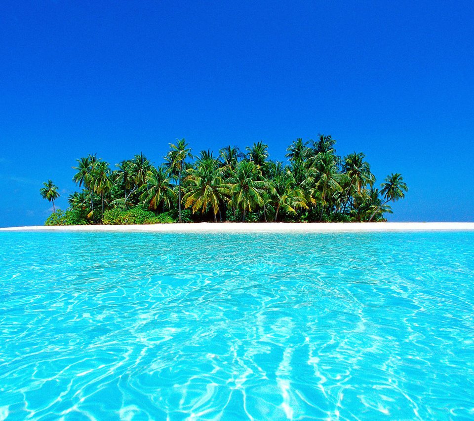 Обои пляж, пейзажи, пальмы, остров, тропики, багамы, мальдивы, beach, landscapes, palm trees, island, tropics, bahamas, the maldives разрешение 1920x1080 Загрузить