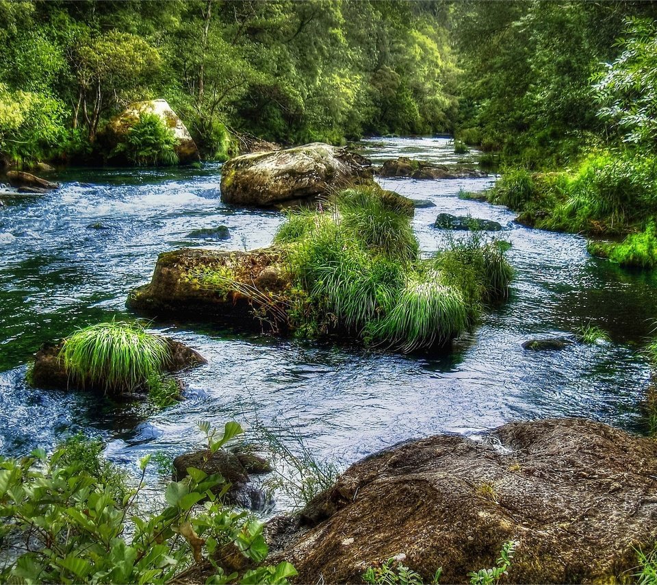 Обои трава, река, камни, лес, пейзаж, поток, grass, river, stones, forest, landscape, stream разрешение 2560x1600 Загрузить