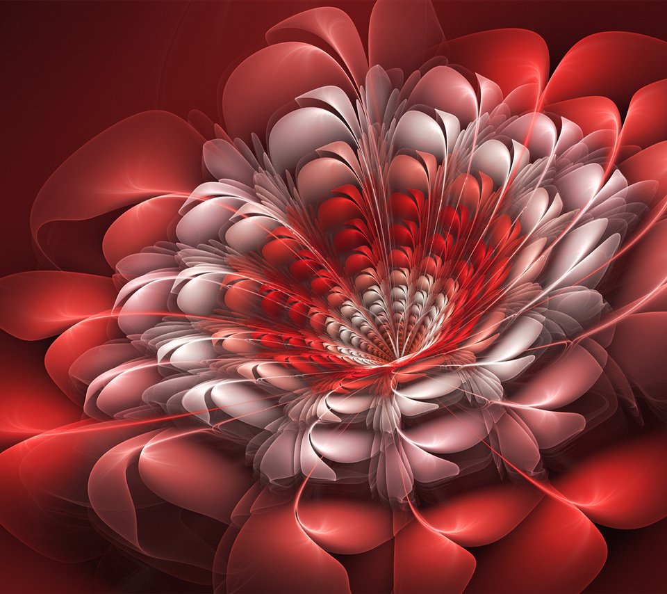 Обои цветы, абстракция, графика, фрактал, 3д, flowers, abstraction, graphics, fractal, 3d разрешение 1920x1200 Загрузить