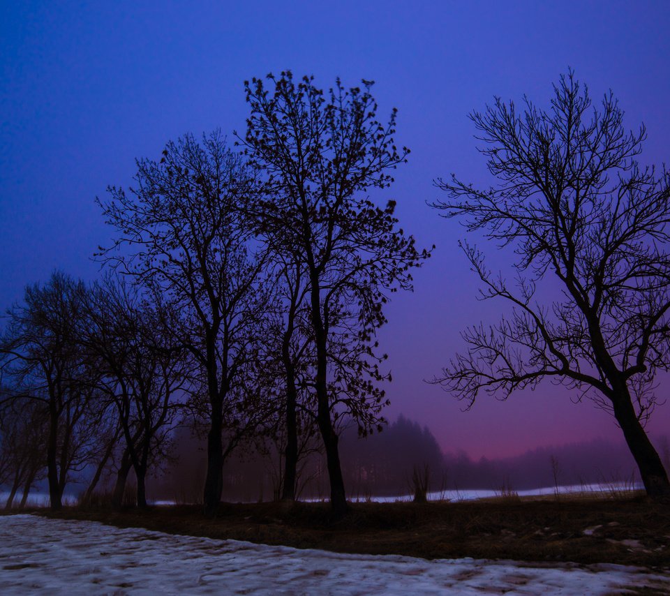 Обои ночь, деревья, снег, зима, пейзаж, поле, night, trees, snow, winter, landscape, field разрешение 2048x1149 Загрузить