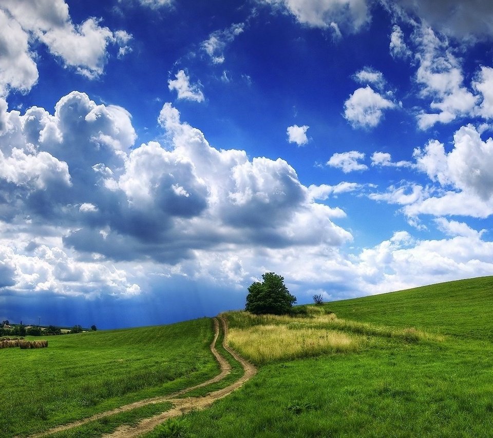 Обои дорога, облака, холмы, дерево, тучи, пейзаж, поле, сено, рава, rav, road, clouds, hills, tree, landscape, field, hay разрешение 1920x1080 Загрузить