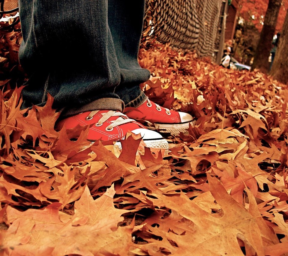 Обои листья, осень, кеды, джинсы, ноги, listya, osen, kedy, осенние листья, leaves, autumn, sneakers, jeans, feet, autumn leaves разрешение 1920x1440 Загрузить