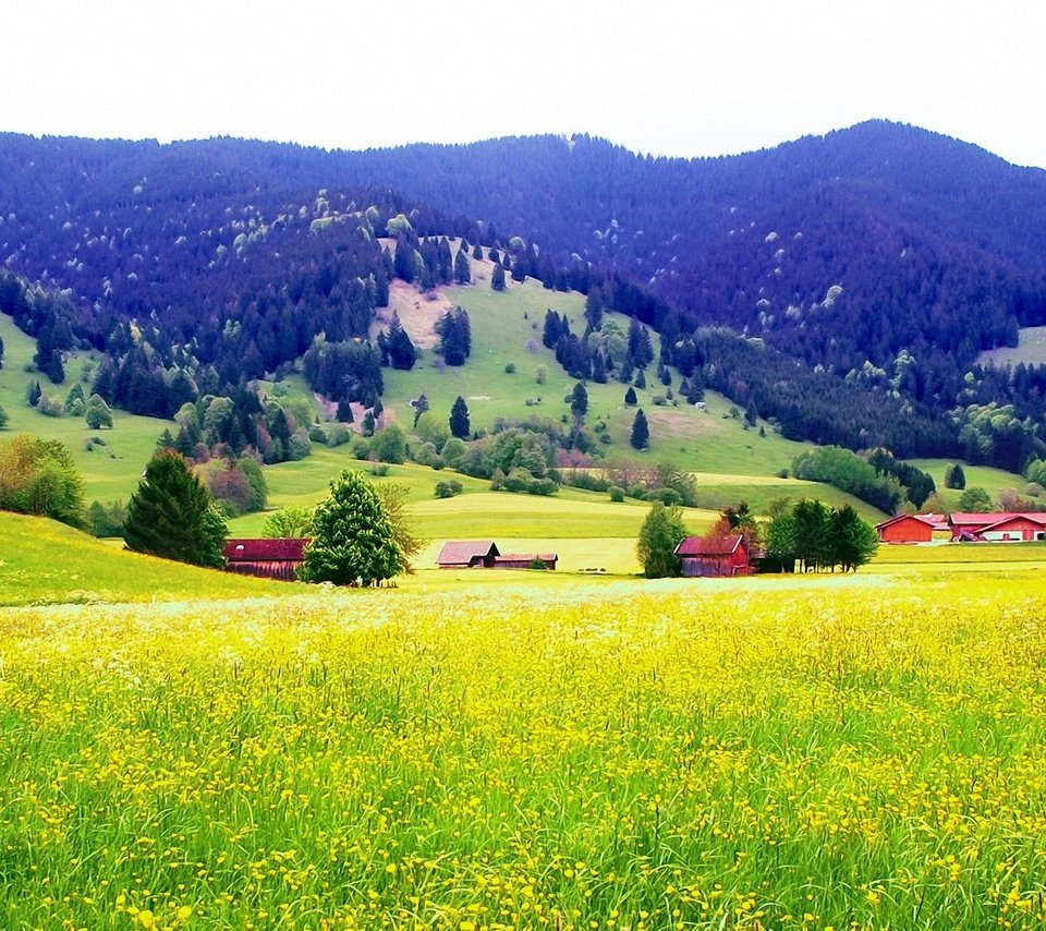 Обои горы, поле, mountains, field разрешение 1920x1200 Загрузить