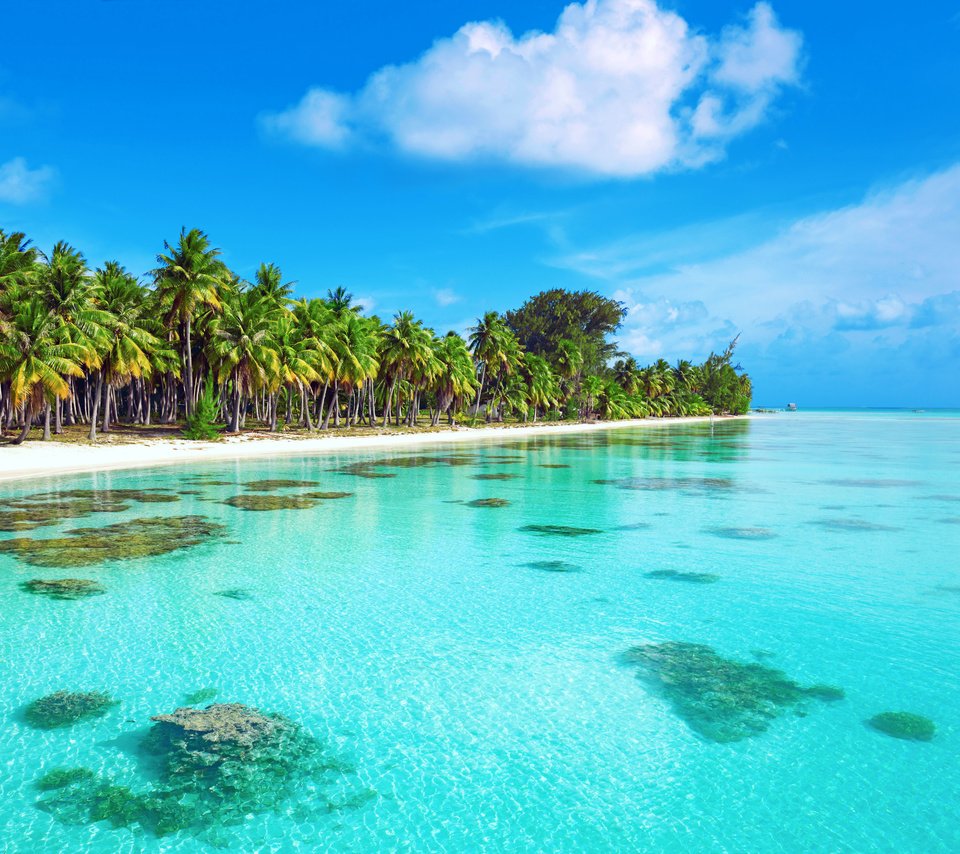 Обои пляж, остров, тропики, мальдивы, beach, island, tropics, the maldives разрешение 7915x5932 Загрузить