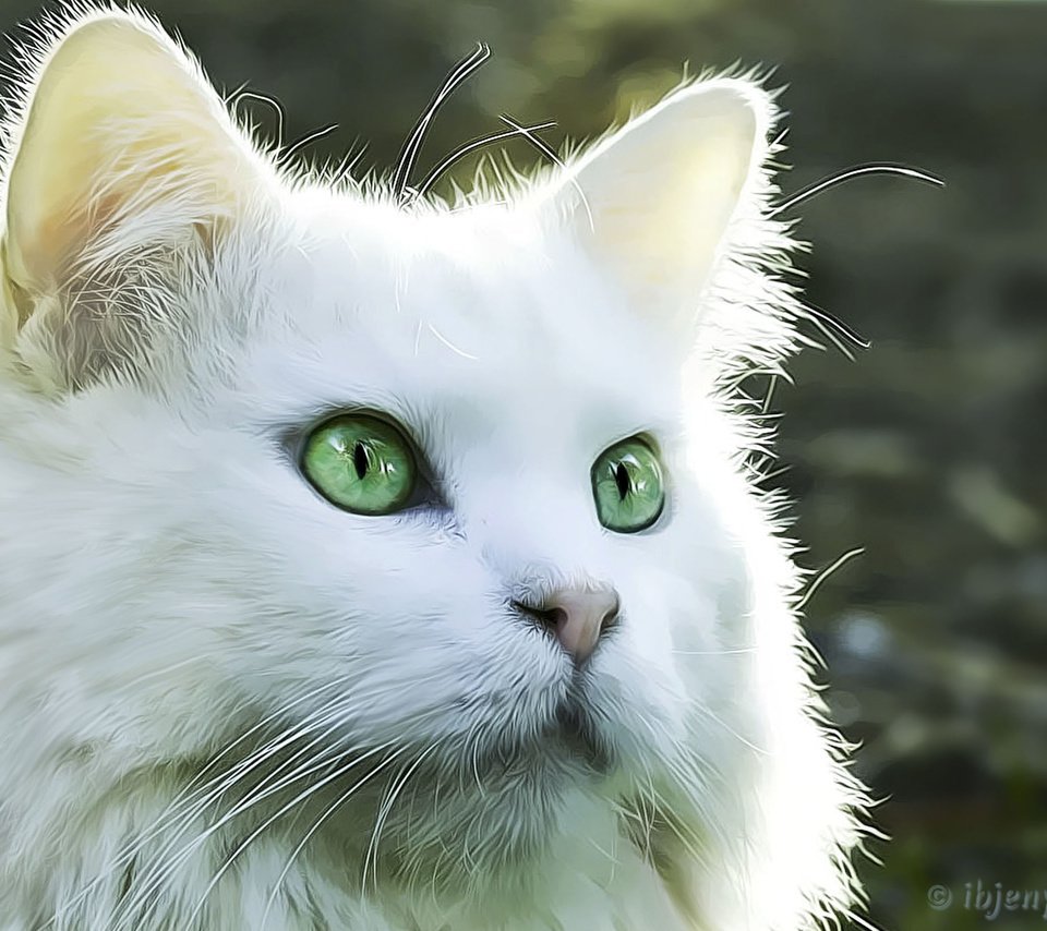 Обои рисунок, кот, кошка, взгляд, белый кот, figure, cat, look, white cat разрешение 2880x1800 Загрузить
