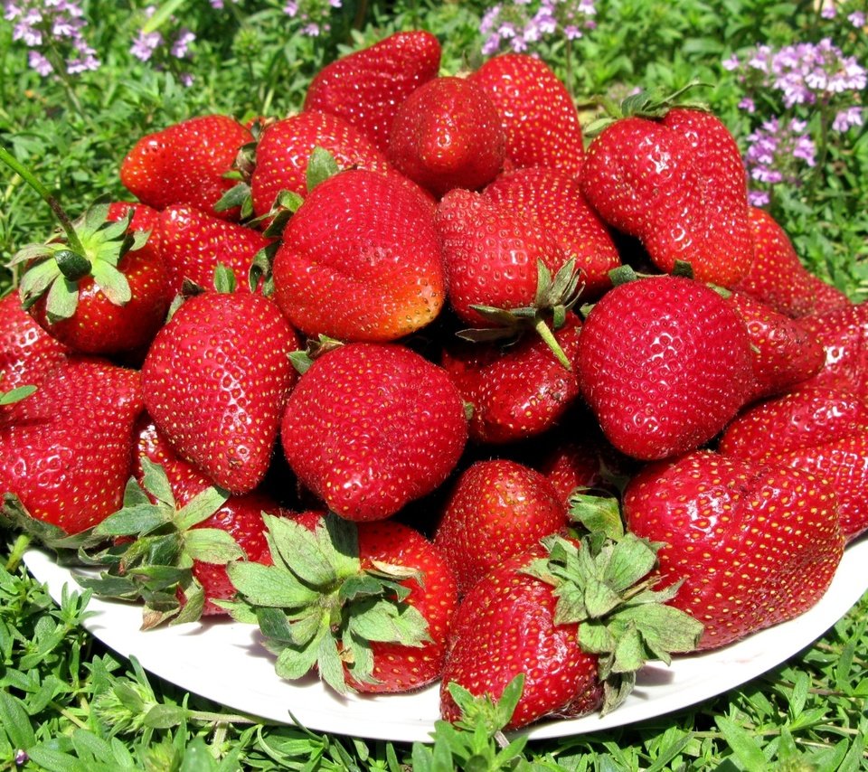 Обои лето, клубника, красота, ягоды, земляника, summer, strawberry, beauty, berries, strawberries разрешение 2000x1407 Загрузить