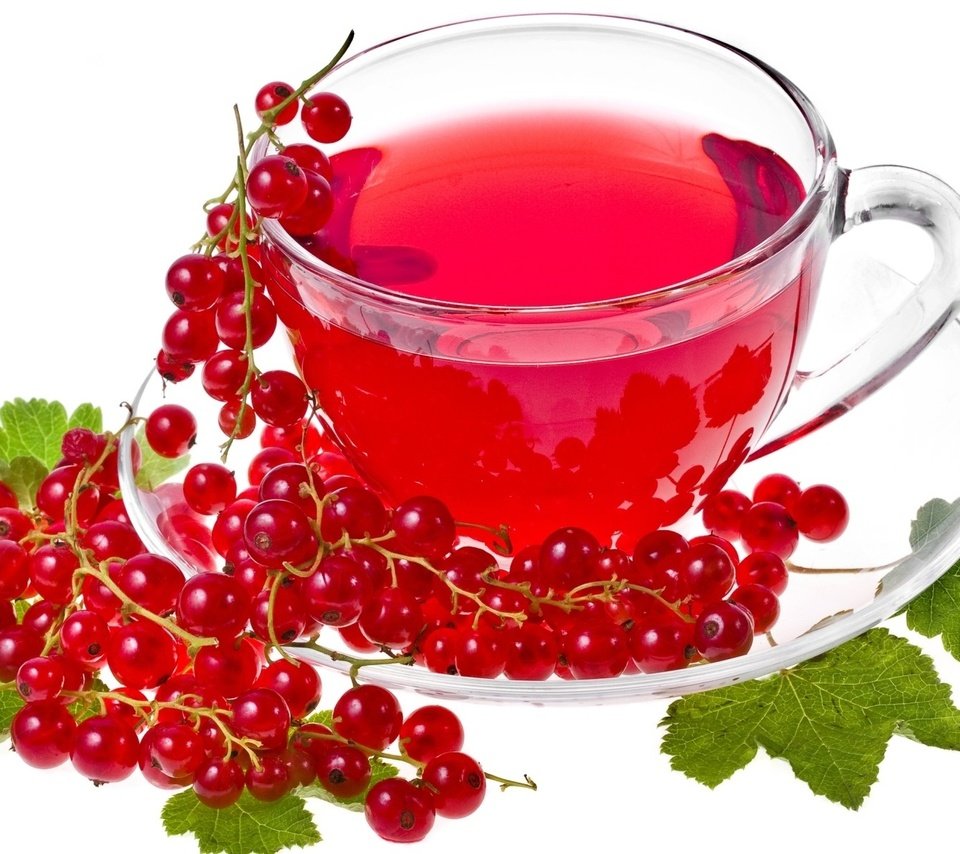 Обои красная, белый фон, чай, смородина, red, white background, tea, currants разрешение 1920x1200 Загрузить