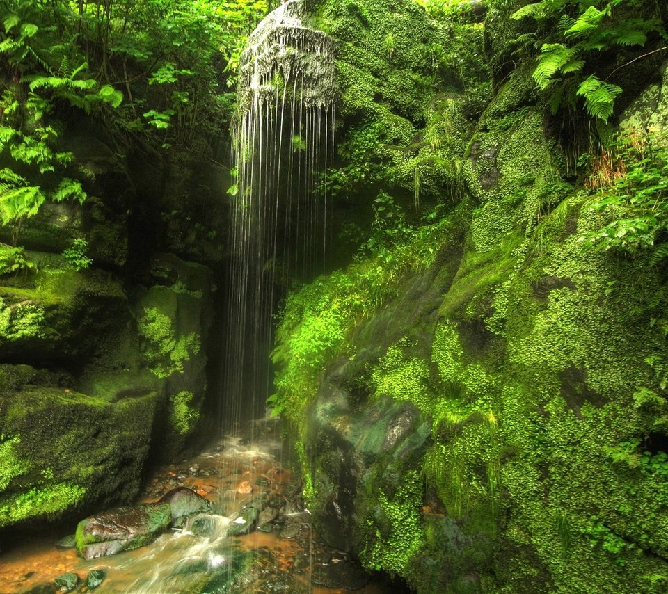 Обои лес, германия, саксония, водопад., forest, germany, saxony, waterfall. разрешение 2048x1365 Загрузить