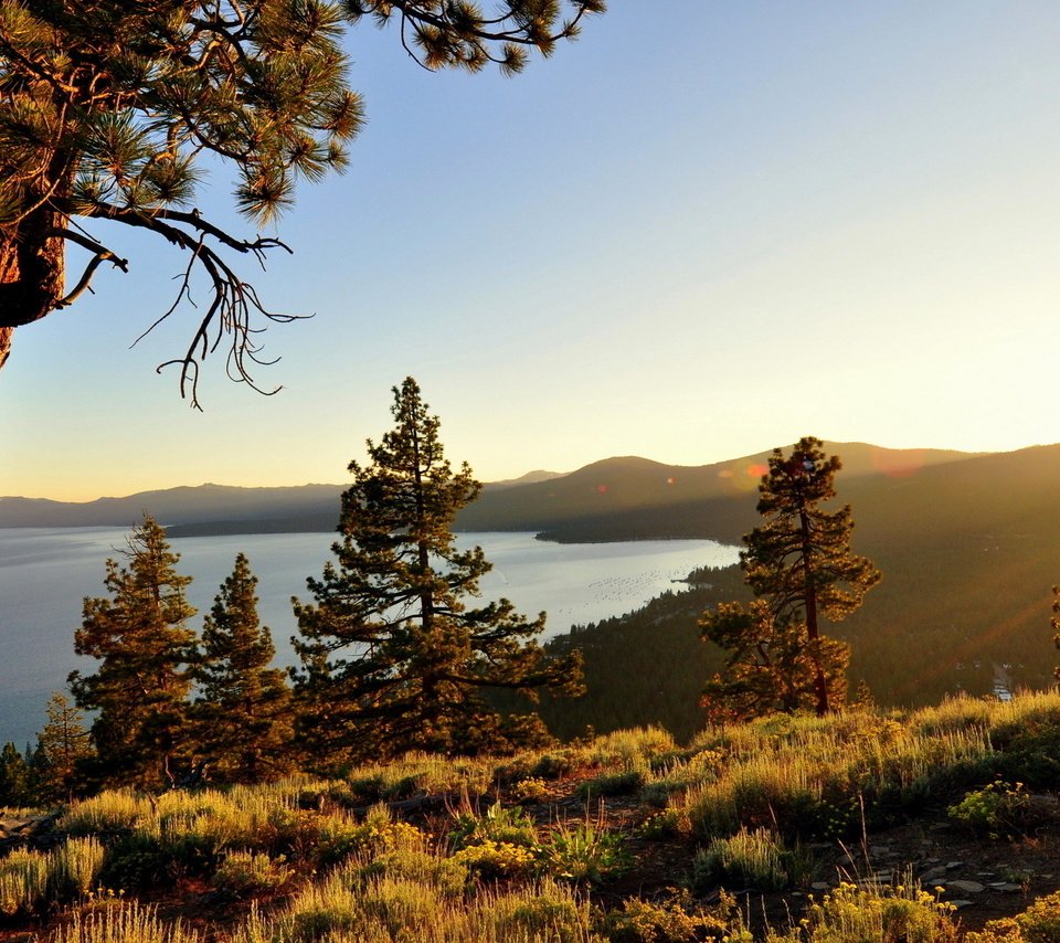 Обои озеро, природа, дерево, калифорния, сосна, озеро тахо, lake, nature, tree, ca, pine, lake tahoe разрешение 1920x1200 Загрузить