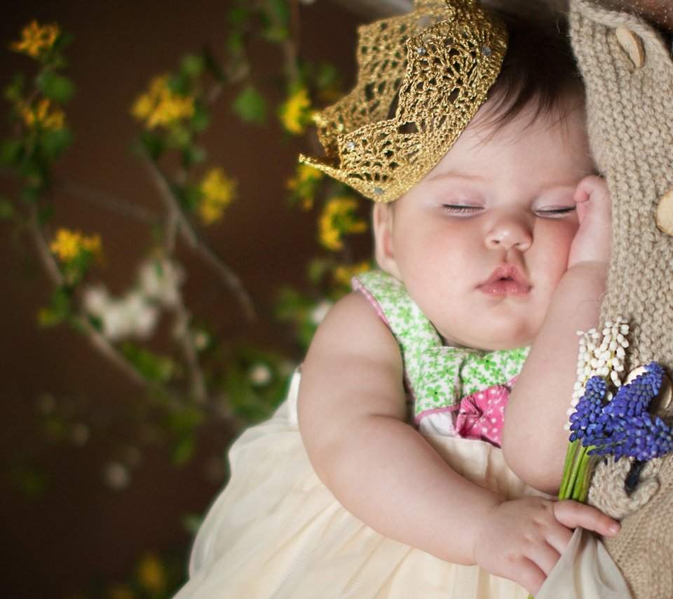 Обои цветы, сон, девочка, ребенок, младенец, корона, flowers, sleep, girl, child, baby, crown разрешение 2250x1612 Загрузить