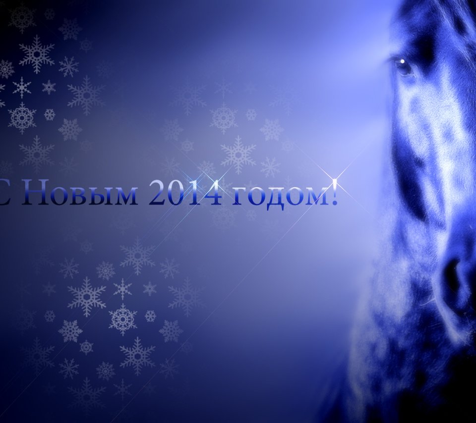 Обои лошадь, новый год, 2014 год, horse, new year, 2014 разрешение 1920x1200 Загрузить