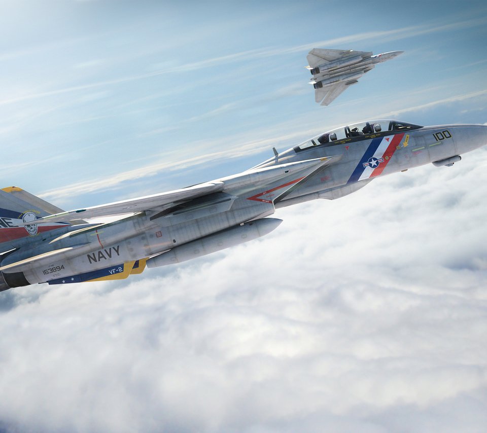 Обои небо, самолет, истребитель, f-14, котяра, the sky, the plane, fighter, tomcat разрешение 2560x1600 Загрузить