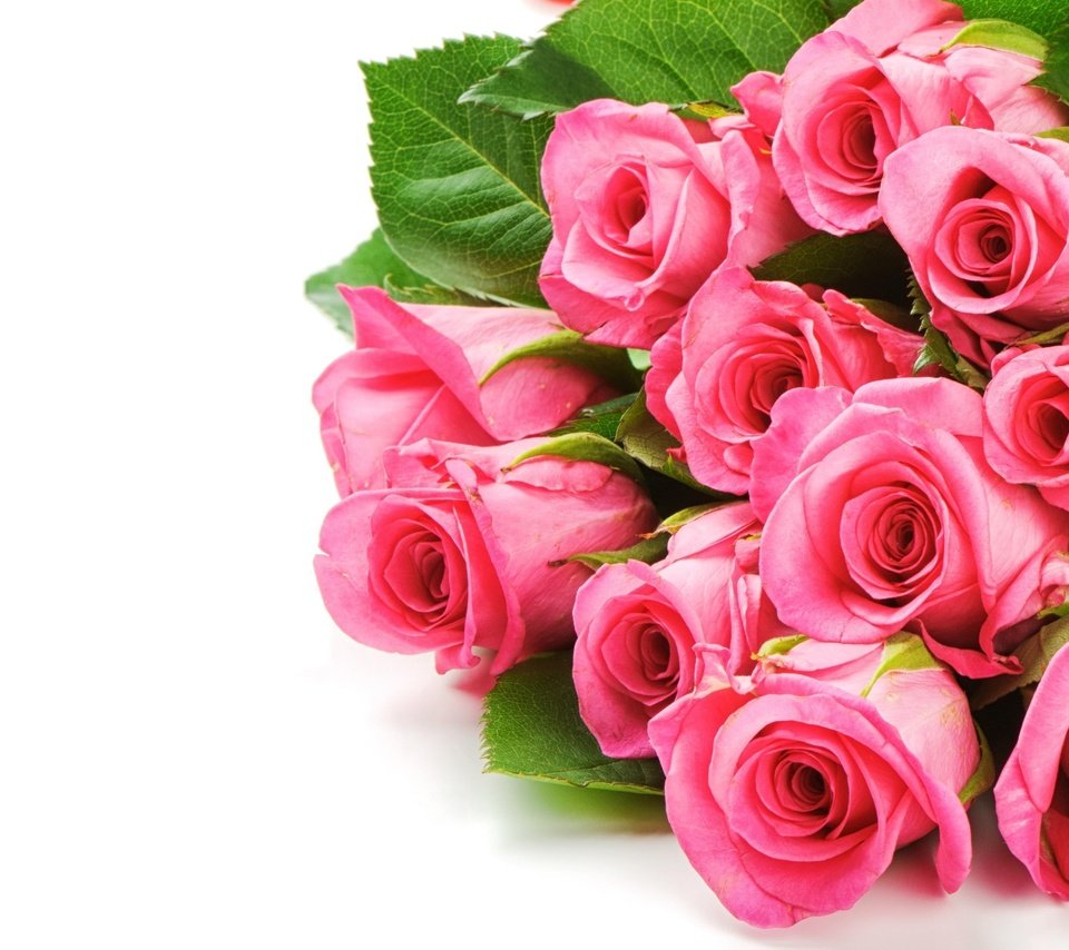 Обои цветы, розы, букет, розовый, flowers, roses, bouquet, pink разрешение 2560x1600 Загрузить