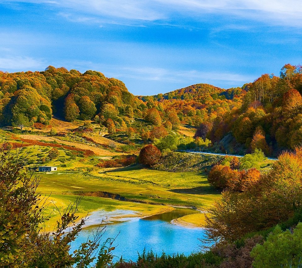 Обои красивый осенний лес на холмах, beautiful autumn forest in the hills разрешение 2560x1440 Загрузить