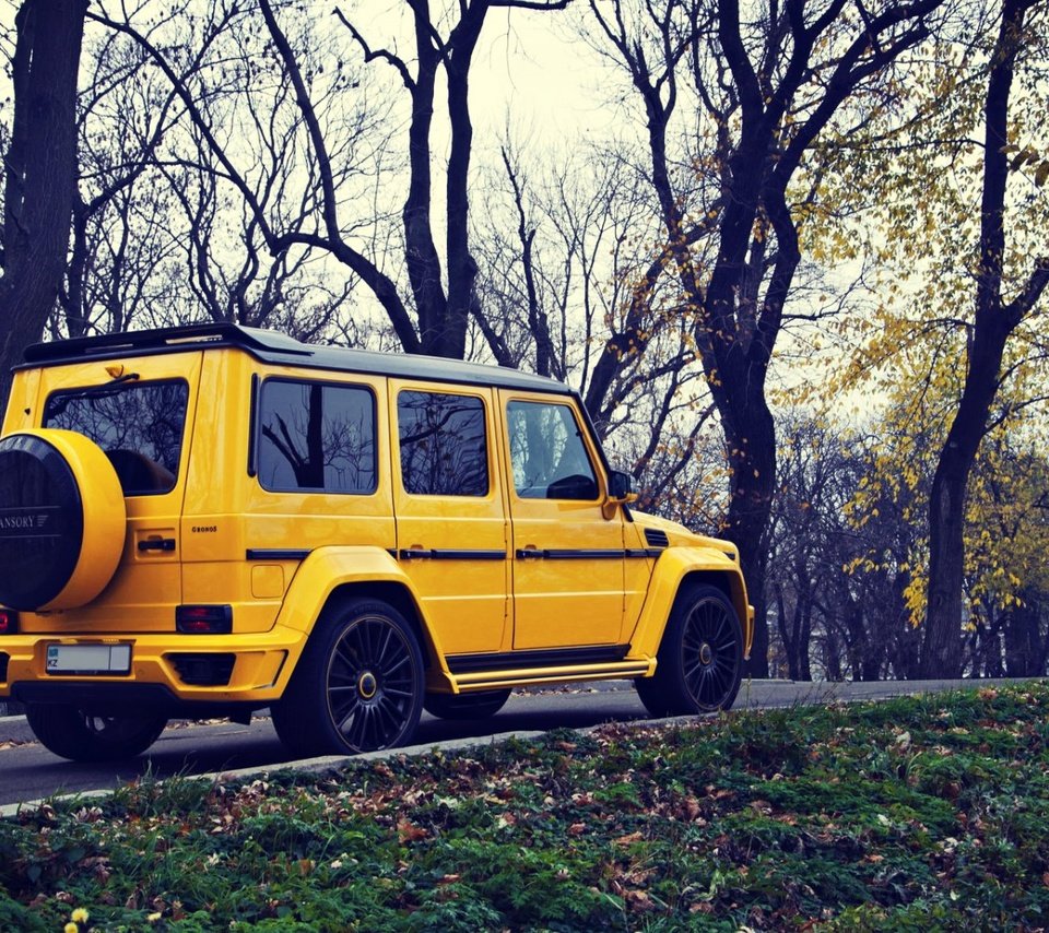 Обои желтый, осень, внедорожник, мерседес, мерседес бенц, g63, mansory gronos, yellow, autumn, suv, mercedes, mercedes benz разрешение 1920x1080 Загрузить