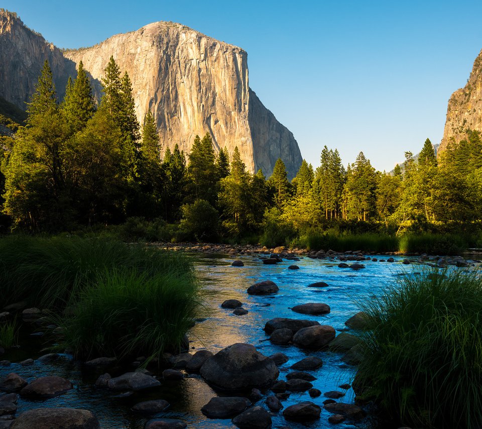 Обои горы, лес, панорамма, йосемитский национальный парк, mountains, forest, panorama, yosemite national park разрешение 1920x1080 Загрузить