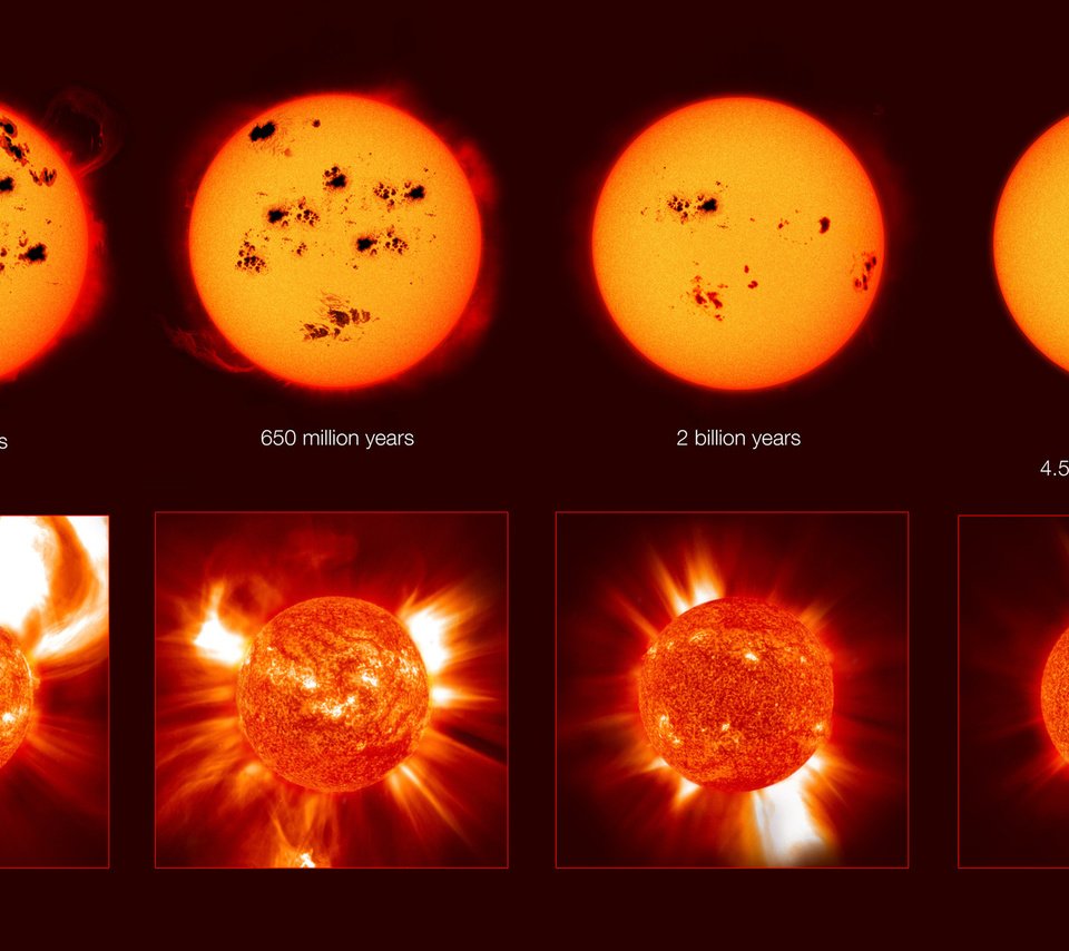 Обои солнце, смерть, жизнь, активность, начало, конец, the sun, death, life, activity, beginning, the end разрешение 1920x1080 Загрузить