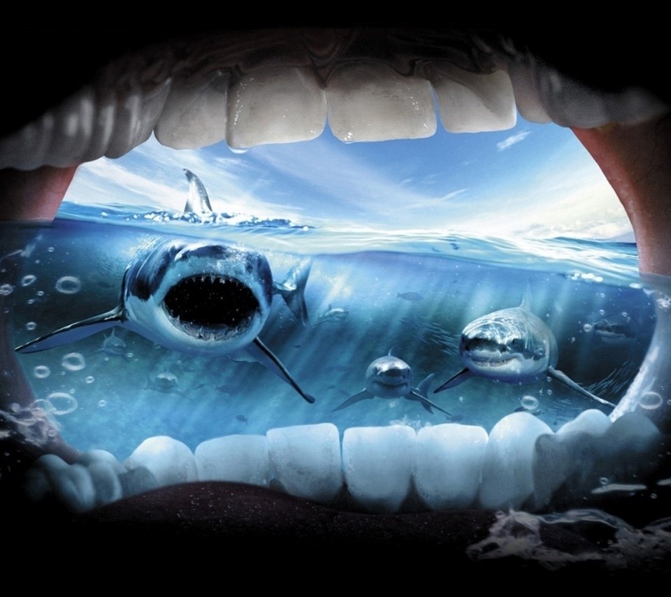 Обои океан, ужас, крик, акулы, the ocean, horror, creek, sharks разрешение 2033x1271 Загрузить