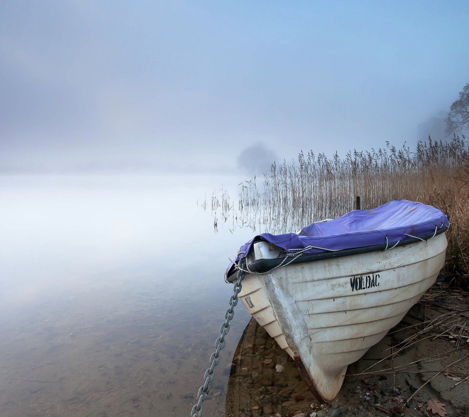 Обои озеро, туман, лодка, камыш, lake, fog, boat, reed разрешение 1920x1200 Загрузить