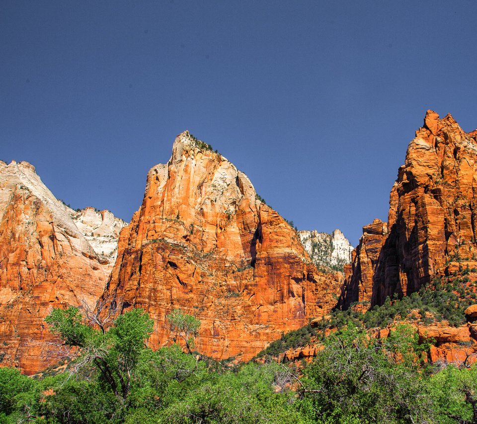 Обои горы, сша, юта, zion national park, национальный парк, штат юта, mountains, usa, utah, national park разрешение 1920x1200 Загрузить