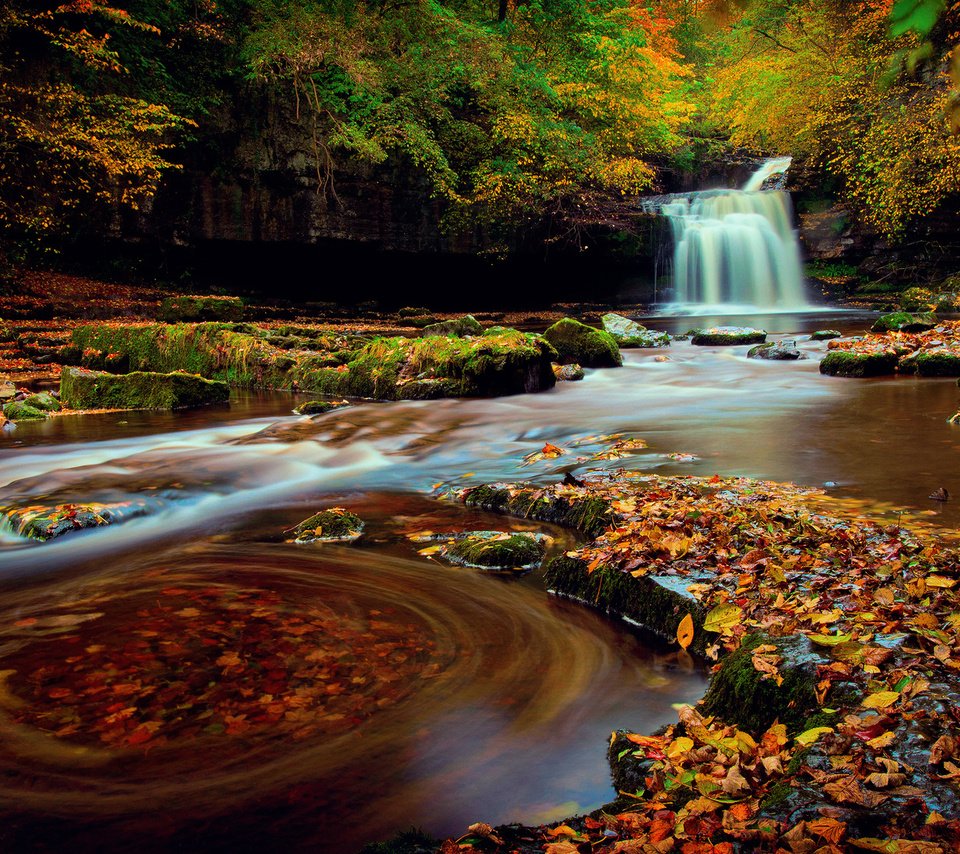 Обои лес, водопад, осень, октябрь, йоркшир, северная англия, forest, waterfall, autumn, october, yorkshire, northern england разрешение 1920x1200 Загрузить