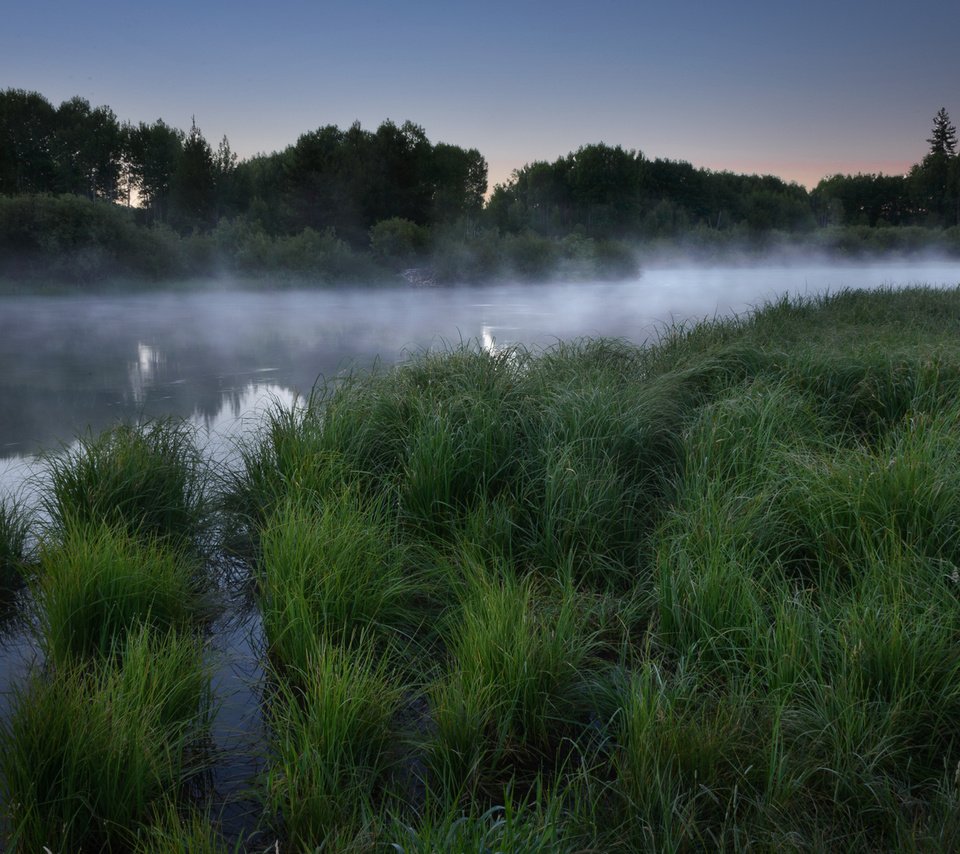 Обои трава, озеро, лес, утро, туман, рассвет, grass, lake, forest, morning, fog, dawn разрешение 1920x1200 Загрузить