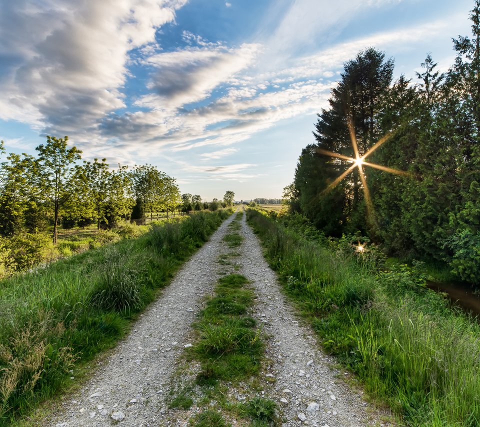 Обои дорога, деревья, солнце, пейзаж, road, trees, the sun, landscape разрешение 2374x1500 Загрузить