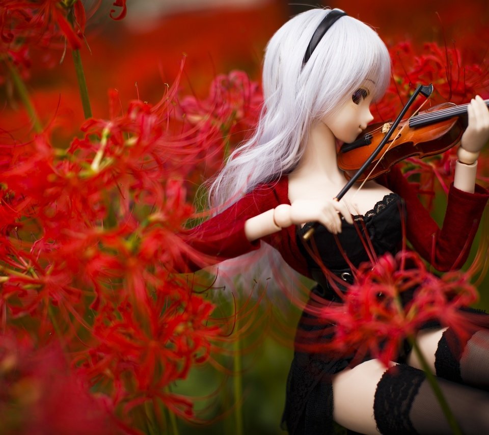 Обои цветы, скрипка, кукла, flowers, violin, doll разрешение 3200x2133 Загрузить