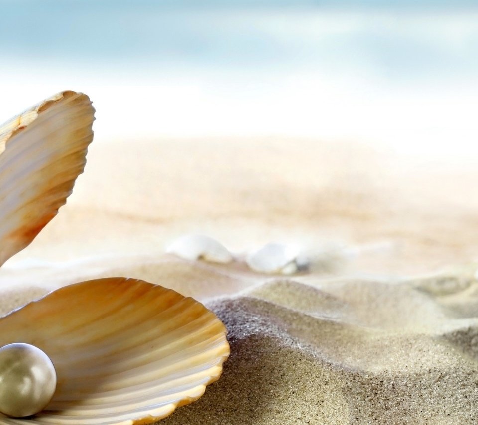 Обои на песке, раковина жемчужница, жемчужина, on the sand, shell pearl, pearl разрешение 1920x1080 Загрузить