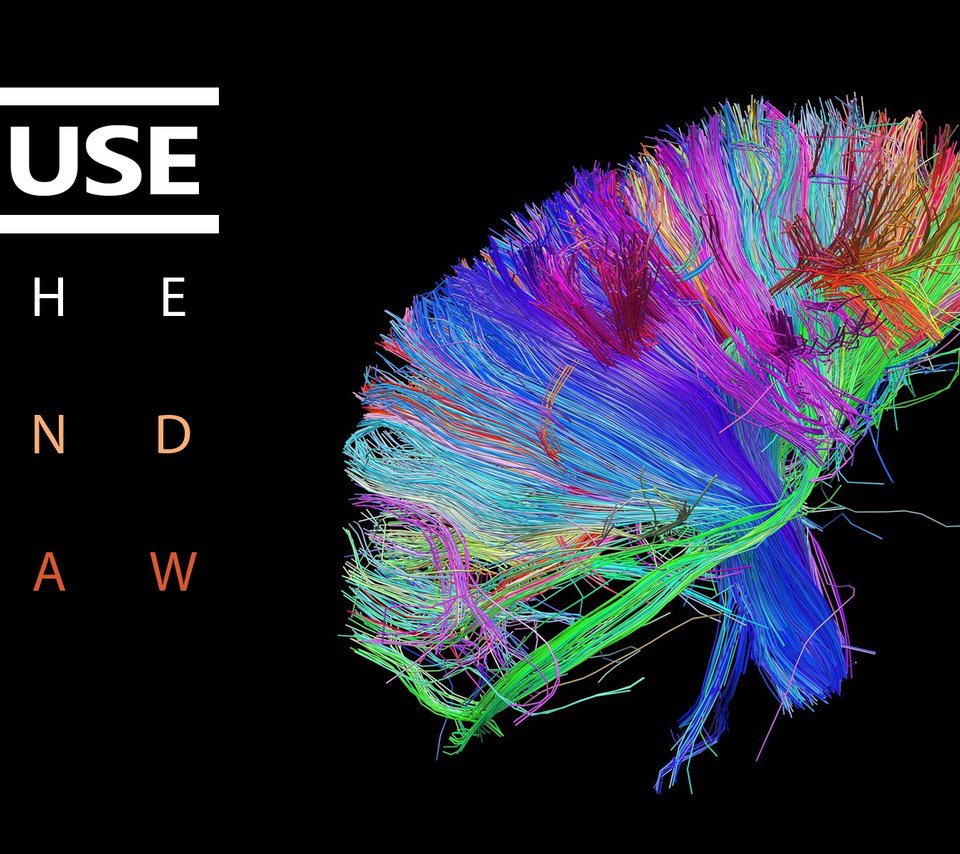 Обои расцветка, обложка, свёрток, мозг, wires, the 2nd law, муза, colors, cover, bundle, brain, muse разрешение 1920x1200 Загрузить