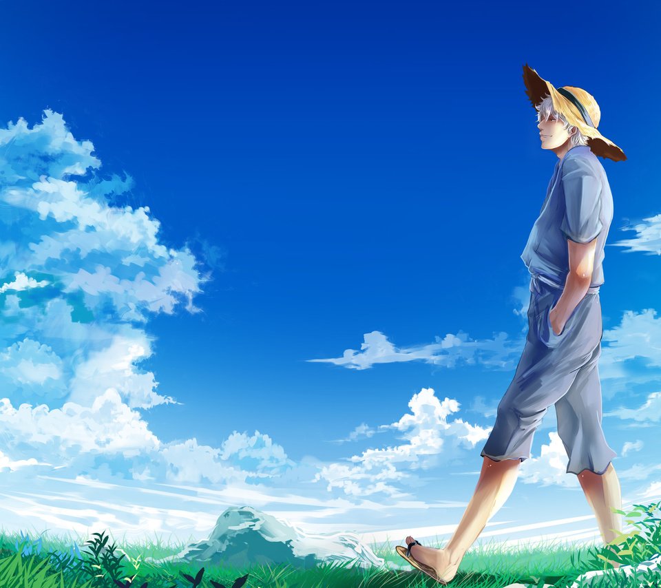 Обои небо, облака, парень, луг, шляпа, sakata gintoki, гинтама, the sky, clouds, guy, meadow, hat, gintama разрешение 2560x1600 Загрузить