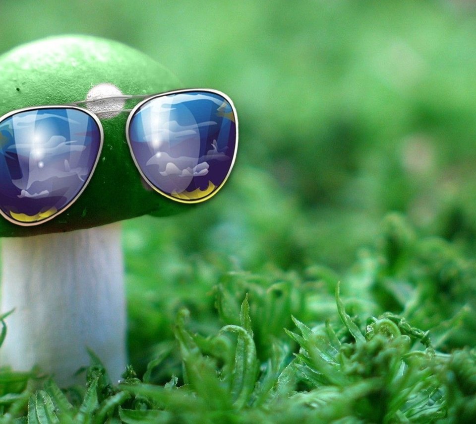 Обои природа, зелёный, макро, очки, гриб, nature, green, macro, glasses, mushroom разрешение 1932x1208 Загрузить