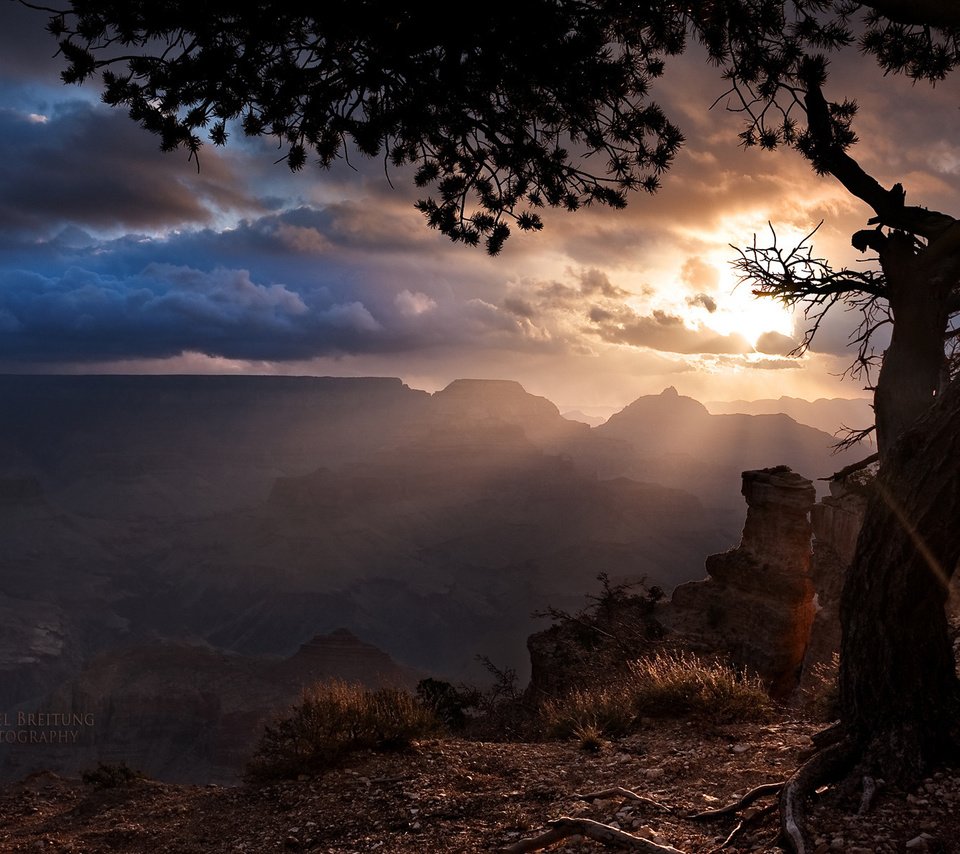 Обои дерево, тучи, лучи солнца, аризона, гранд каньон, tree, clouds, the rays of the sun, az, the grand canyon разрешение 1920x1200 Загрузить