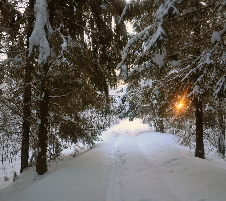 Обои дорога, деревья, снег, природа, зима, road, trees, snow, nature, winter разрешение 2875x1910 Загрузить